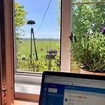 Wieś Sielska Anielska Słonecznik - Całoroczny Mazurski Dom Na Dużej Działce Dom wakacyjny *