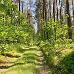 Holiday home Wies Sielska Anielska Slonecznik - Caloroczny Mazurski Dom Na Duzej Dzialce Pasym