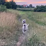 Wieś Sielska Anielska Słonecznik - Całoroczny Mazurski Dom Na Dużej Działce * Pasym