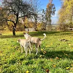 Holiday home Wies Sielska Anielska Slonecznik - Caloroczny Mazurski Dom Na Duzej Dzialce Pasym