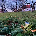 Wies Sielska Anielska Slonecznik - Caloroczny Mazurski Dom Na Duzej Dzialce Pasym