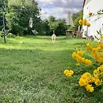 Wies Sielska Anielska Slonecznik - Caloroczny Mazurski Dom Na Duzej Dzialce