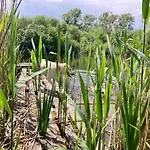 Wieś Sielska Anielska Słonecznik - Całoroczny Mazurski Dom Na Dużej Działce Dom wakacyjny Pasym