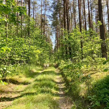 Vakantiehuis Wies Sielska Anielska Slonecznik - Caloroczny Mazurski Dom Na Duzej Dzialce Pasym