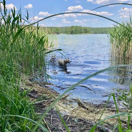 Wies Sielska Anielska Slonecznik - Caloroczny Mazurski Dom Na Duzej Dzialce