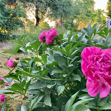 Wies Sielska Anielska Slonecznik - Caloroczny Mazurski Dom Na Duzej Dzialce Holiday home Pasym