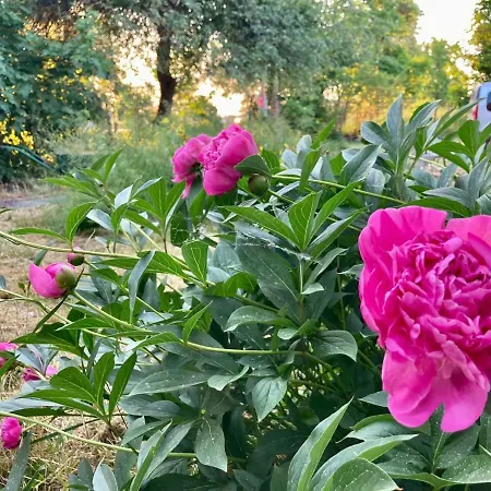 Wies Sielska Anielska Slonecznik - Caloroczny Mazurski Dom Na Duzej Dzialce 펜션 파심