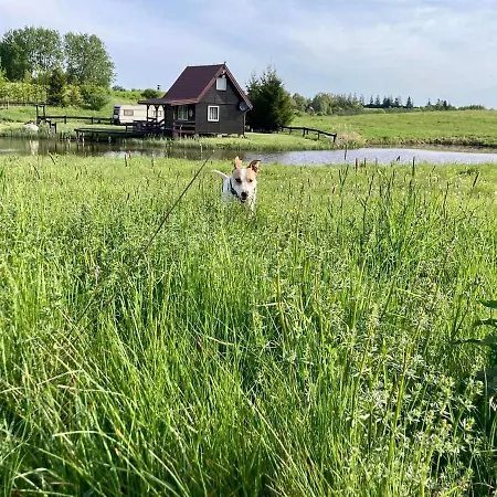 Vakantiehuis Wies Sielska Anielska Slonecznik - Caloroczny Mazurski Dom Na Duzej Dzialce *