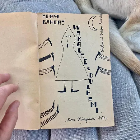 Wies Sielska Anielska Slonecznik - Caloroczny Mazurski Dom Na Duzej Dzialce Vakantiehuis