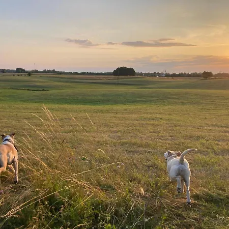 Wies Sielska Anielska Slonecznik - Caloroczny Mazurski Dom Na Duzej Dzialce Сasa de vacaciones *