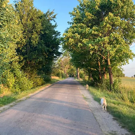 Wies Sielska Anielska Slonecznik - Caloroczny Mazurski Dom Na Duzej Dzialce