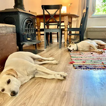 Wies Sielska Anielska Slonecznik - Caloroczny Mazurski Dom Na Duzej Dzialce 펜션 *