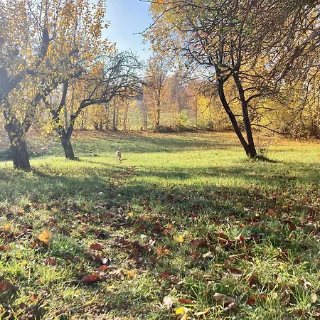 Wies Sielska Anielska Slonecznik - Caloroczny Mazurski Dom Na Duzej Dzialce * 파심