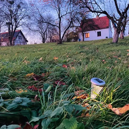 Wies Sielska Anielska Slonecznik - Caloroczny Mazurski Dom Na Duzej Dzialce Passenheim