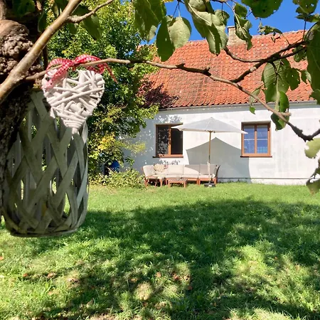 Wies Sielska Anielska Slonecznik - Caloroczny Mazurski Dom Na Duzej Dzialce Pasym