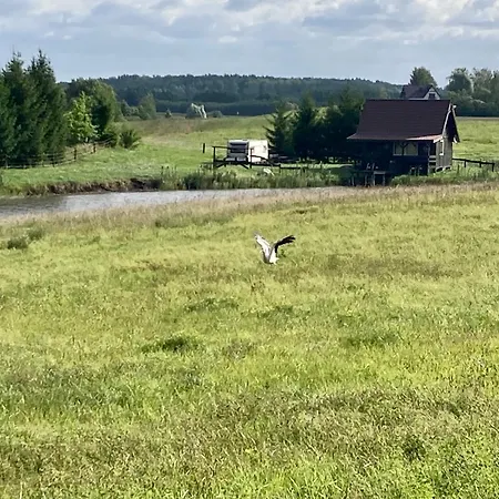 Wies Sielska Anielska Slonecznik - Caloroczny Mazurski Dom Na Duzej Dzialce 펜션