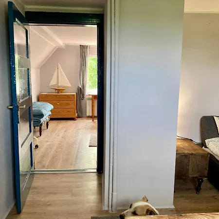 Wies Sielska Anielska Slonecznik - Caloroczny Mazurski Dom Na Duzej Dzialce 펜션