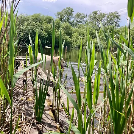 Wies Sielska Anielska Slonecznik - Caloroczny Mazurski Dom Na Duzej Dzialce 펜션 파심